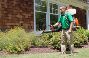 Mosquito Joe of Dothan-Enterprise Technician Spraying Barrier Treatment on shrubbery